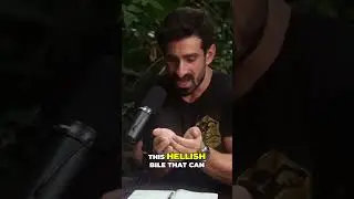 Unbelievable 😱 Secret of the Anaconda's Digestive System Revealed! 🐍🤯