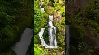 Triberg Waterfall #triberg #blackforest  #waterfall #waterfalls #germany #schwarzwald #nature