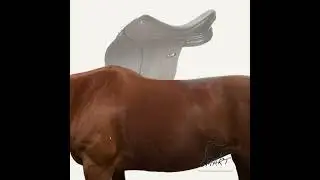 SMART Elite saddle