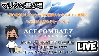 【ACECOMBAT7】#1(お金こつこつ稼いで新機体狙う！)