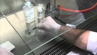 Preparation of dermatitis samples for microbial observation
