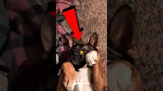 #exe