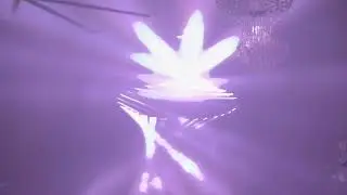 LSZEE - Full Set - Atlanta, GA - Night 1 - 2025