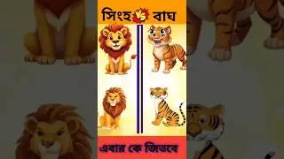 সিংহ vs বাঘ # Lion vs tiger  #shorts #bangla comparison video #shortsfeed