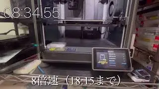 Creality K1 Input Shaping fail