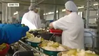 20 Jahre Mauerfall | Rügenfisch-Werk in Saßnitz