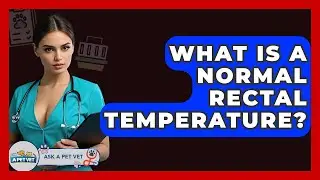 What Is A Normal Rectal Temperature? - Ask A Pet Vet
