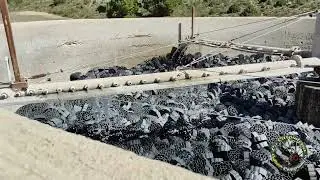 La depuradora de Puebla de Don Fadrique abandonada