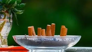 VISIONS &mdash; Cold Turkey; the fight against tobacco