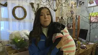 Floral shop and dog rescue team up for 