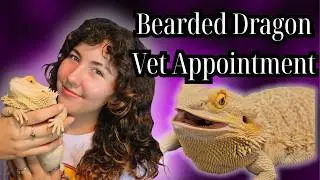 Bearded Dragon Goes To The Vet | MINI VLOG