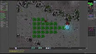Tibia - Killing in the name of... - Edron Wyvern Hunt