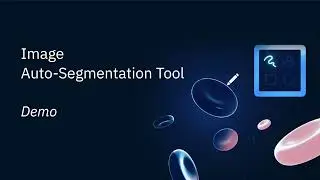 Image auto-segmentation tool - Demo Walkthrough