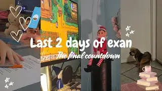 The Final Countdown: Last 2 Days of Exams 📚✨