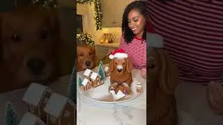 90 MINUTES of Hyper-Realistic Animal Cakes 😱 Dogs, Cats, Birds & Illusion Cuts