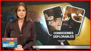 🔴Las NotiCentro Edición Estelar Wapa Puerto Rico | VIERNES, 30 de ENERO 2026 #wapatv #teleonce