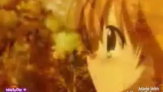 jewelpet yuma et akari amv