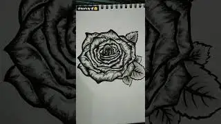 #rosesketch #sketching #youtubeshorts
