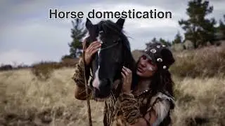 Prehistory of the domestic horse