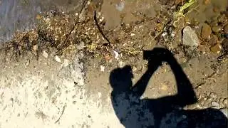 мы поехали в сочи на рыбалку с батей