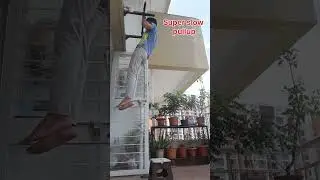 I will do pullups for every subscriber  I gain #motivation #pullups #challenge #100pushups