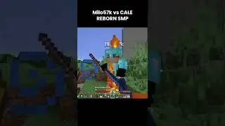 BRAT KAPILOTA vs CAŁE REBORN SMP