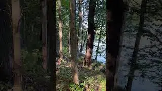 Wooded 18.5 acre lot on the Hudson River. Approximately 800 feet of waterfront
