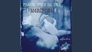4LETEO DE UN4 M4RIPOS4