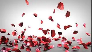 Falling Rose Petals Background Free Download
