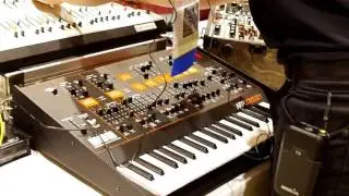 Korg ARP Odyssey Module Overview & Demo