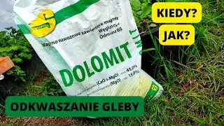 DOLOMIT Odkwaszanie ziemi w ogrodzie Kiedy odkwaszać glebę? Jak odkwasić glebę? Do jakich roślin?