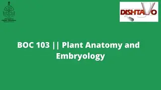 22 || BOC 103 || Secondary Growth -Wood elements  (Economic importance)
