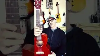 Do you want to learn how to play the ukulele? #shorts #beginnerukulele #shortsvideo