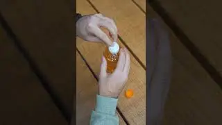 Hansı duru yağı istifadə edirsən? G&uuml;nəbaxan🌻, qarğıdalı🌽, yoxsa zeytun🫒yağı?