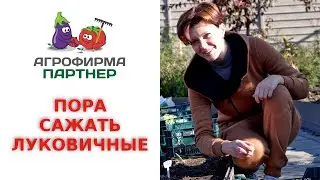 ПОРА САЖАТЬ ЛУКОВИЧНЫЕ