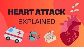 Heart Attack Explained in 10 Minutes: Causes, Symptoms, Prevention, and First Aid