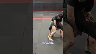 Juliakins demonstrates her favorite MMA takedown