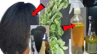 Only One Ingredients and your hair will grow like crazy / It works like magic