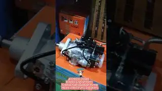 Xinchai Fuel Injection Pump | 4D29G31-21100 | HELI Forklift Parts Suppliers | Xinchai Engine 4D29G31