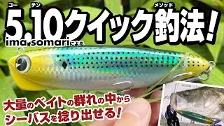 【シーバス】留まり大型イナッコ（スクール）の群れの中からシーバスを捻り出せる！ ima ソマリによる5.10クイック釣法（ゴーテンクイックメソッド）！