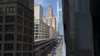 L Train Chicago #shorta