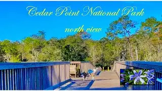 Relax With Soothing Music and Nature. Perfect Background for Yoga and Other Healing Exercises