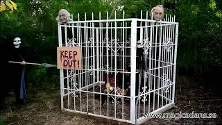 The Witch Trap - a theatrical outdoor horror dance act, by Magica. Greedy Halloween witch in a cage.