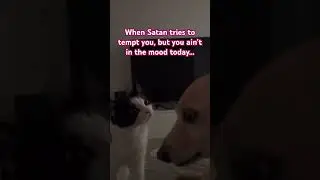 Not TODAY STAN!