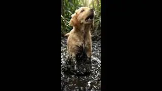 Ai video Part 432 #hulk #hulkvideo #virallive #halku #hindicartoon#viral #live #shorts