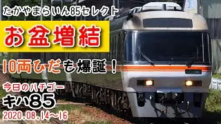 【お盆増結！】10両ひだが戻ってきた！3日間の増結をまとめた「たかやまらいん85増結セレクション」！～今日のハチゴー20200814 20200816～