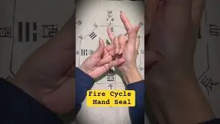 The Hand Seal for Circulating the Vital Fire. #daoist #bodylanguage #mudra#meditation #daoism