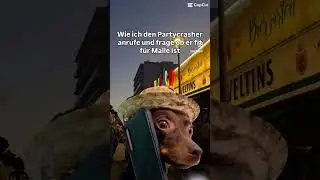 #bierk&ouml;nig #memes #bier #lustig #feiern #saufwerk