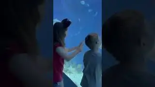 EPCOT Dive quest