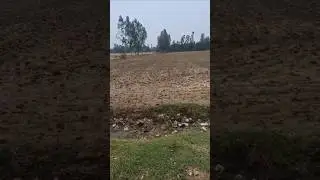 #Land sale jila unnao tahsil purwa 2.13 bigha pakka pankhera rate 1.15cr total#8009835546 #views10k